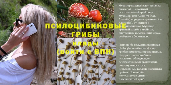 прущая мука Богданович
