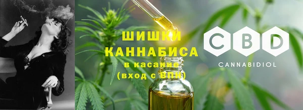прущая мука Богданович