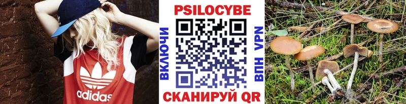 купить закладку  площадка телеграм  Псилоцибиновые грибы мухоморы  Йошкар-Ола 